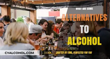 Sober Socializing: Discovering Healthy Alternatives to Alcohol for Fun Nights