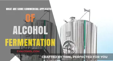 Commercial Uses of Alcohol Fermentation: Innovative Applications Across Industries