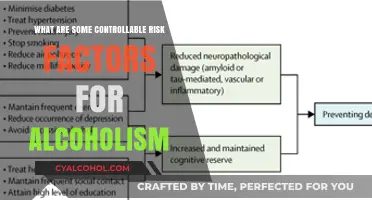 Controllable Risk Factors for Alcoholism: Understanding and Managing Your Risks