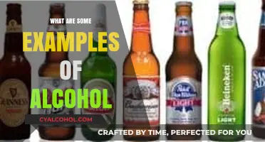 Exploring Popular Alcoholic Beverages: Examples and Varieties to Discover
