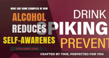 Alcohol's Effect: Losing Self-Awareness and Self-Control