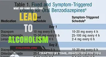 Habits That Fuel Alcoholism: Recognizing the Slippery Slope to Addiction