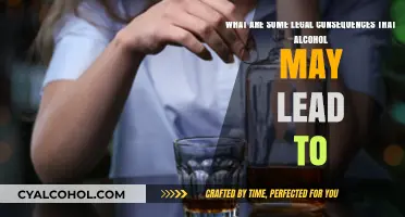 Alcohol's Legal Consequences: What You Need to Know