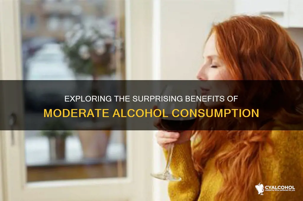 what are some pros of alcohol