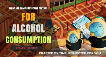 Protective Factors: Strategies to Reduce Risks of Alcohol Consumption