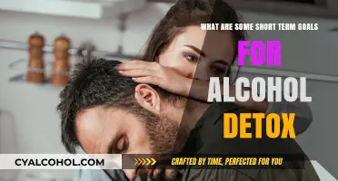 Alcohol Detox: Short-Term Goals for Long-Term Success