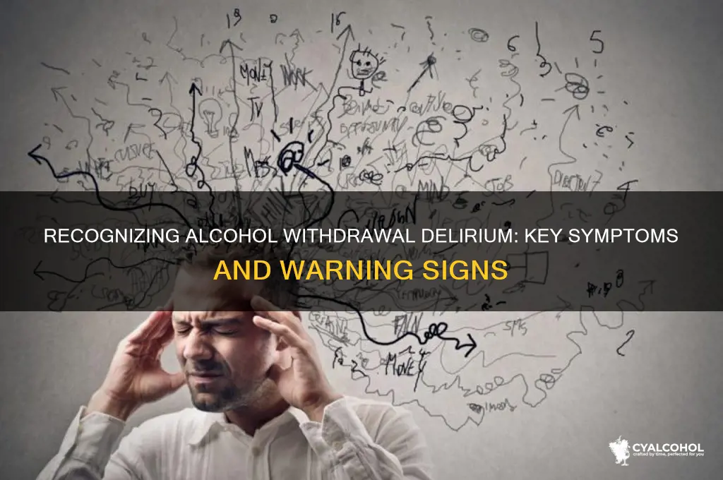 what are some signs of alcohol withdrawal delirium