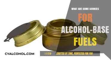 Exploring Renewable Energy: Sources for Alcohol-Based Fuels and Bioenergy