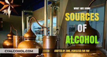 Exploring Diverse Sources of Alcohol: From Fermentation to Distillation