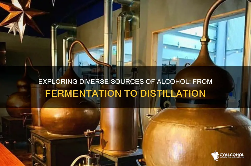 what are some sources of alcohol