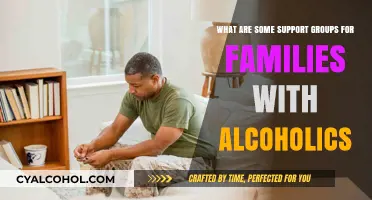 Support Groups: Helping Families of Alcoholics