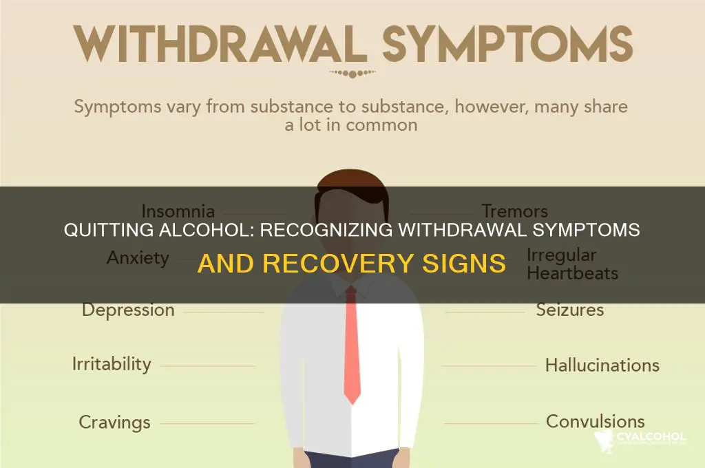 what are symptoms of quitting alcohol