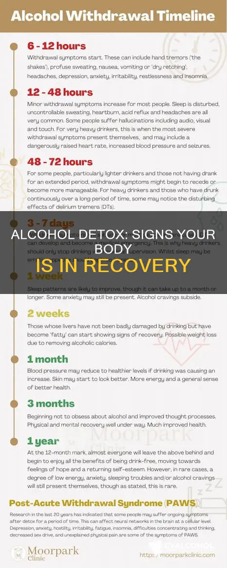 what are symtoms when trying to detoxing from alcohol