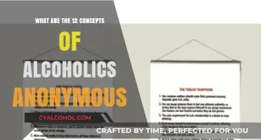 Understanding Alcoholics Anonymous: Exploring the Core 12 Concepts of Recovery