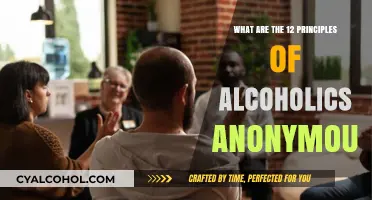 Understanding the Core Principles of Alcoholics Anonymous: A 12-Step Guide