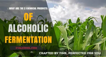 Ethanol and Carbon Dioxide: Products of Alcoholic Fermentation