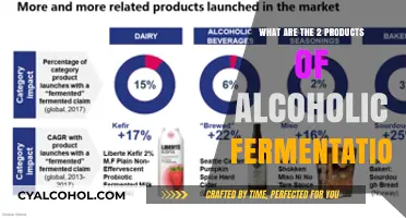 Exploring Alcoholic Fermentation: Key Products and Their Roles