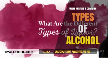 Exploring the Three Most Common Types of Alcoholic Beverages