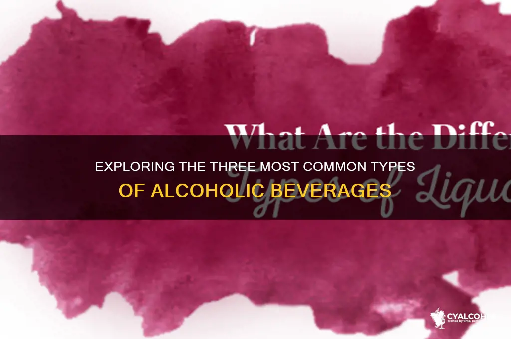 what are the 3 common types of alcohol