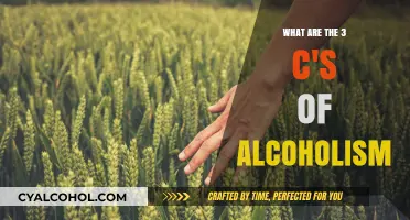 Understanding Alcoholism: The Three Core Components Explained
