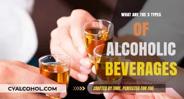 Exploring the Three Main Categories of Alcoholic Beverages