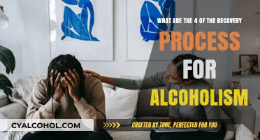 Alcoholism Recovery: 4 Steps to a New You