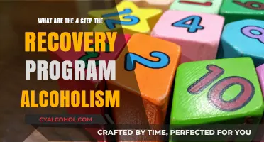 Recovery from Alcoholism: A 4-Step Guide to Sobriety