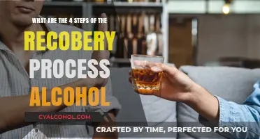 Recovery from Alcohol: 4 Steps to Freedom