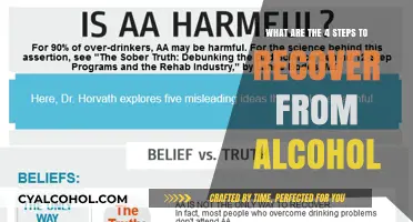Steps to Alcohol Recovery: A Four-Part Guide to Sobriety