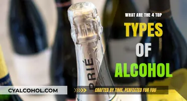 Exploring the Top Types of Alcohol: A Guide to Popular Spirits