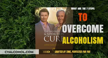 Overcoming Alcoholism: A 7-Step Guide to Recovery and Sobriety