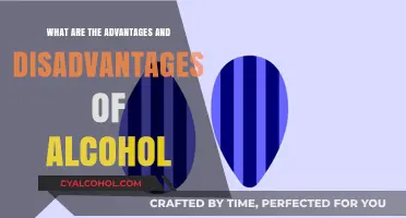 Alcohol's Dual Nature: Exploring Pros and Cons of Drinking