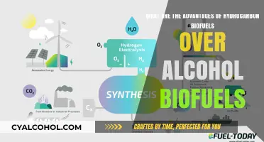 Hydrocarbon Biofuels: Superior to Alcohol Biofuels?