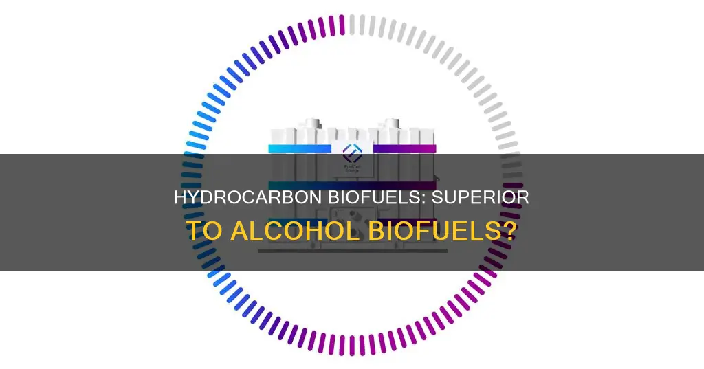 what are the advantages of hydrocarbon biofuels over alcohol biofuels