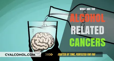 Alcohol-Related Cancers: Understanding the Risks and Types