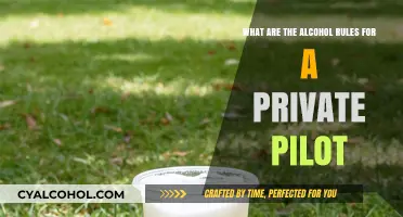 Private Pilot Alcohol Rules: What You Need to Know