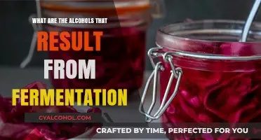 Fermentation Alcohols: Exploring the Types Produced in Brewing and Winemaking