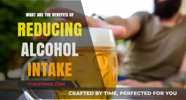Cutting Back on Alcohol: Unlocking Health, Energy, and Mental Clarity