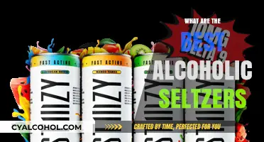 Top Alcoholic Seltzers: Refreshing Flavors to Elevate Your Happy Hour