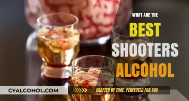 Top Alcohol Shooters: Best Flavors and Recipes to Try Tonight