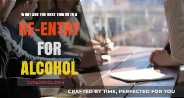 Re-entry from Alcohol: Keys to Success