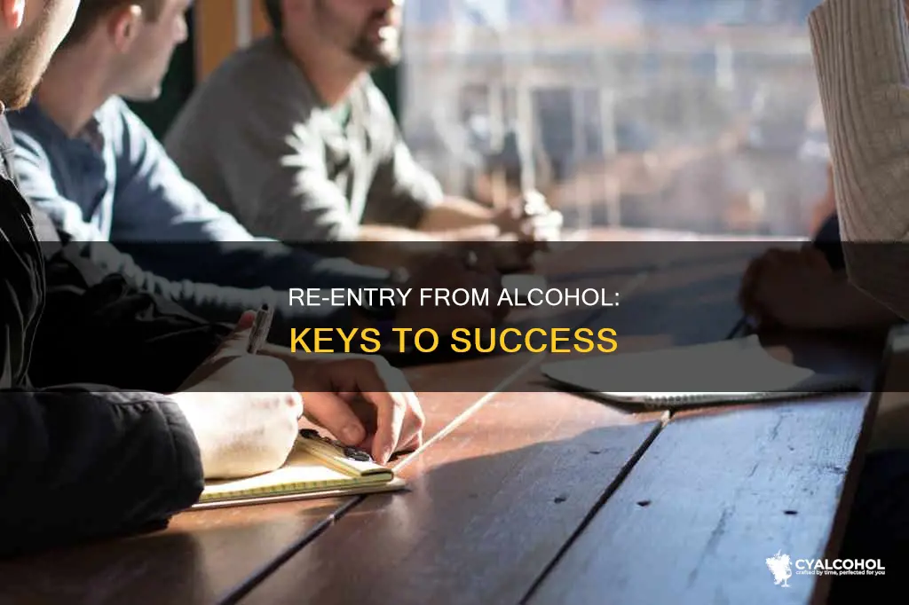 what are the best things in a re-entry for alcohol