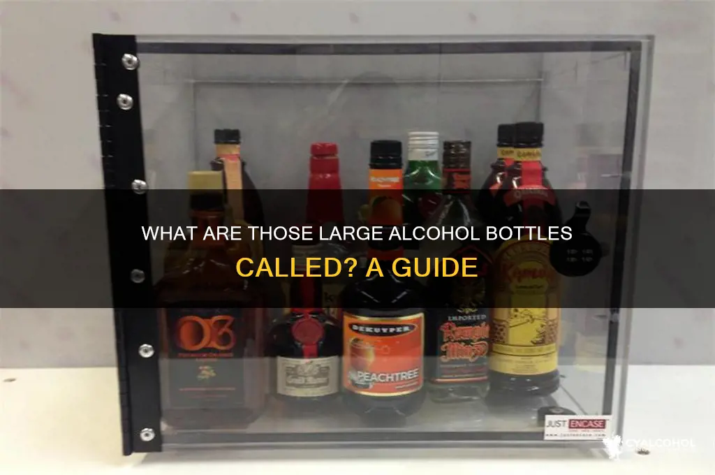what are the big bottles of alcohol called