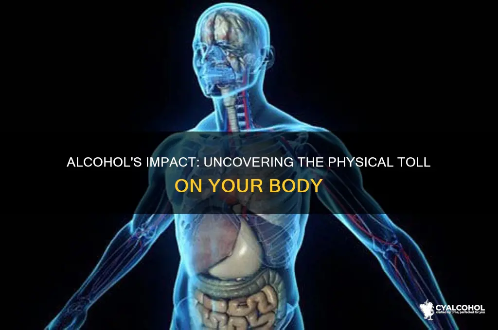what are the bodily consequences of alcohol consumption