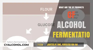 Exploring Alcohol Fermentation: Unveiling Surprising By-Products and Their Uses