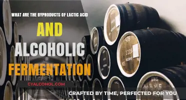 Lactic Acid and Alcoholic Fermentation: Byproducts and Applications