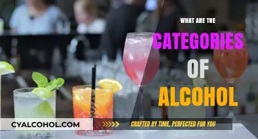 Exploring the Diverse Categories of Alcoholic Beverages Worldwide