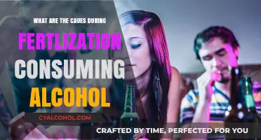 Alcohol's Impact: Understanding Risks During Fertilization and Pregnancy