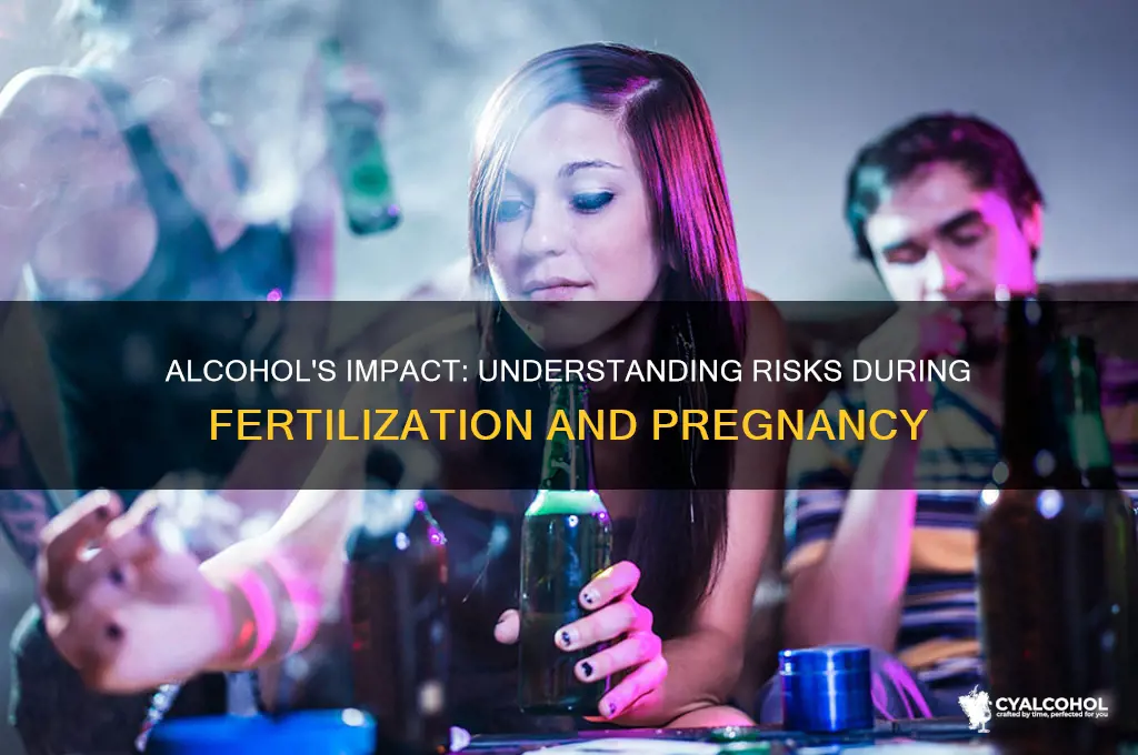 what are the caues during fertlization consuming alcohol