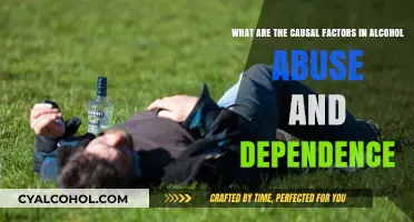 Alcohol Abuse: Understanding the Root Causes